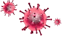 Virus Icon