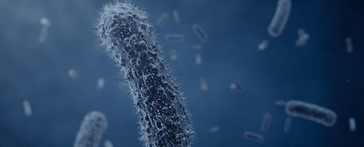Вирусы и бактерии: что опаснее?